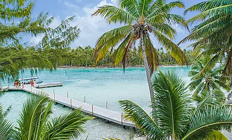 Tahiti - Society islands