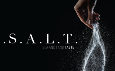 UNA NUEVA FORMA DE PROBAR EL MUNDO: SILVERSEA MÁS ALLÁ DE LA LUNA